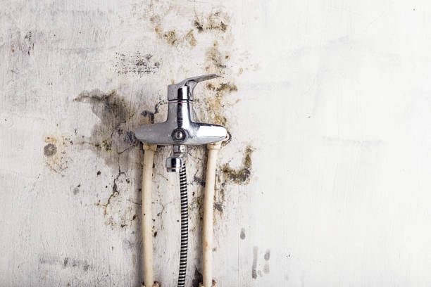 Best Mold Remediation  in Mcdade, TX