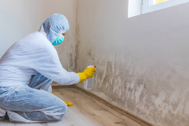 Best Crawl Space Mold Removal  in Mcdade, TX