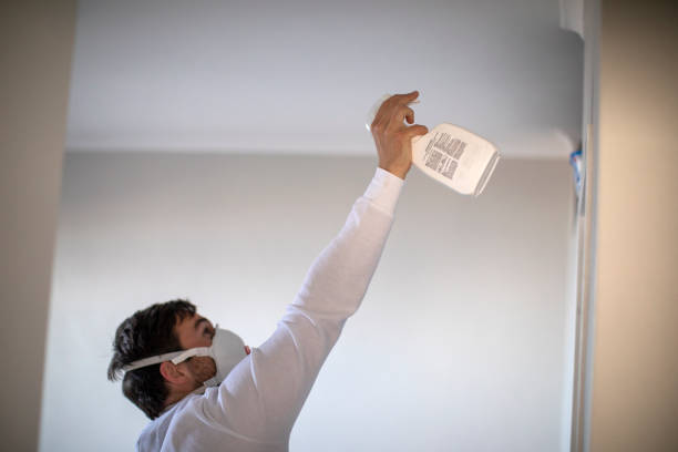 Best Affordable Mold Removal  in Mcdade, TX