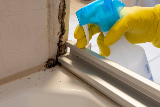 Best Residential Mold Removal  in Mcdade, TX