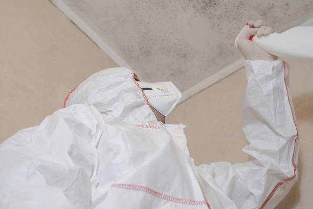 Best Mold Cleaning Services  in Mcdade, TX